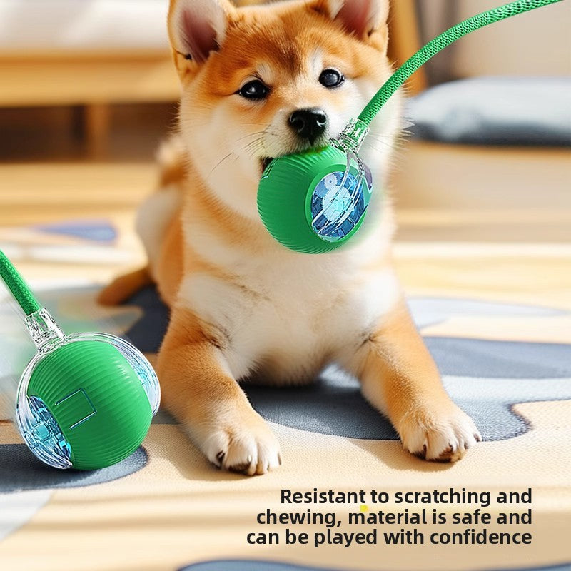 Kinealy PlayBall™