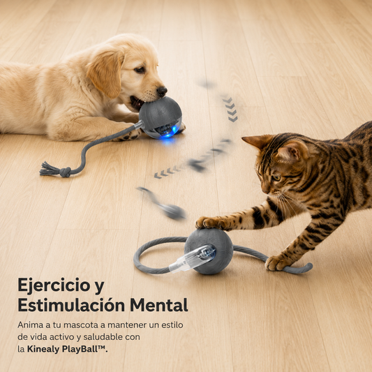 Pelota Interactiva Inteligente